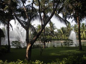 Rtgs Casino in Chennai: Complete 2026 Guide for Indian Players