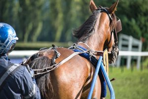 Is Legal Mumbai Race Course Betting Legal in India? Complete 2026 Guide